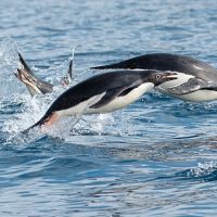 Photo courtesy of Alex Tan