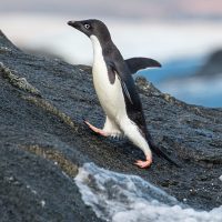 Photo courtesy of Alex Tan