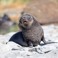 Photo courtesy of Alex Tan