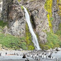A waterfall on Hercules Point in South Georgia. — WONG CHUN WAI