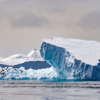 Danger Islands, Antarctica. Photo courtesy of Polar Latitudes