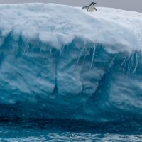 Photo courtesy of Alex Tan