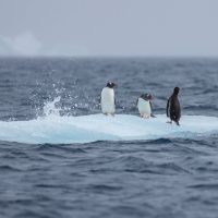 Photo courtesy of Alex Tan